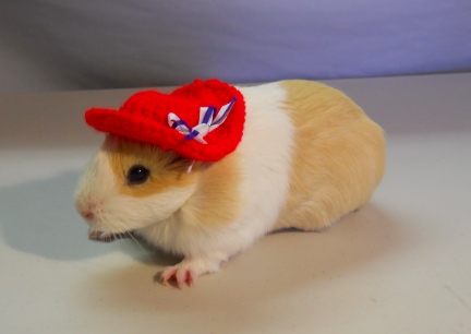 Damsel in hand crocheted 4th July hat 2