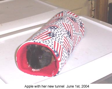 appletoy2 01-06-2004.jpg